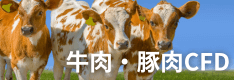 牛肉・豚肉CFD